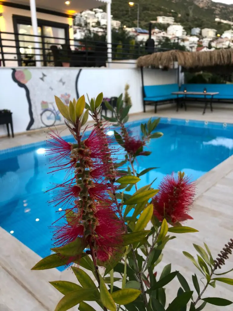 3 bedroom villa in Lower Kiziltas