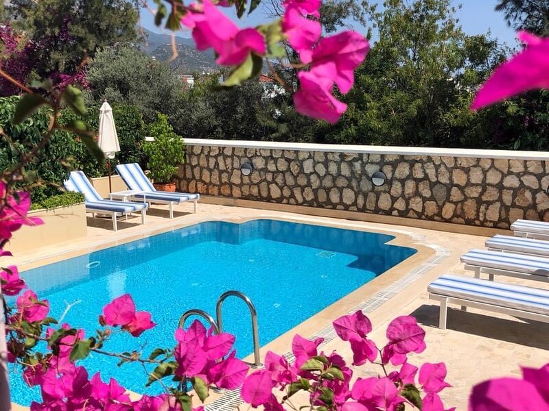 A Charming Poolside One Bedroom Apartment