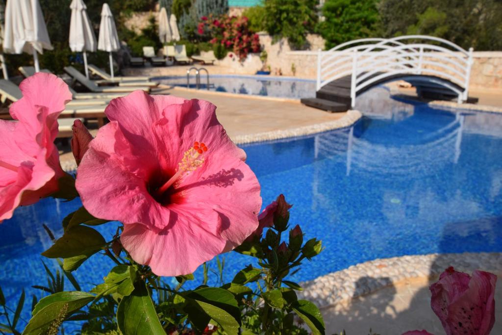 Conveniently Located 2 Bedroom Seaview Apartment with Shared Pool