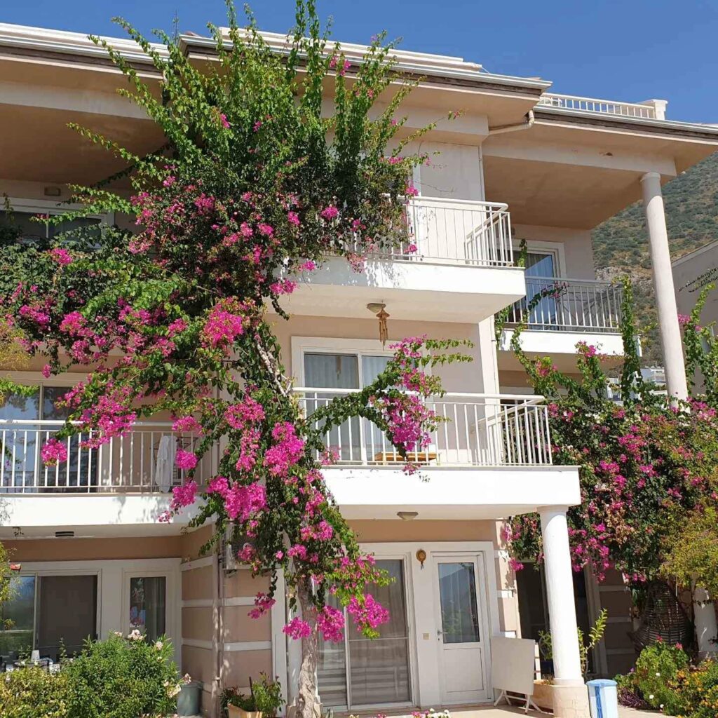 Bargain 3 Bedroom Duplex Apartment with Shared Pool