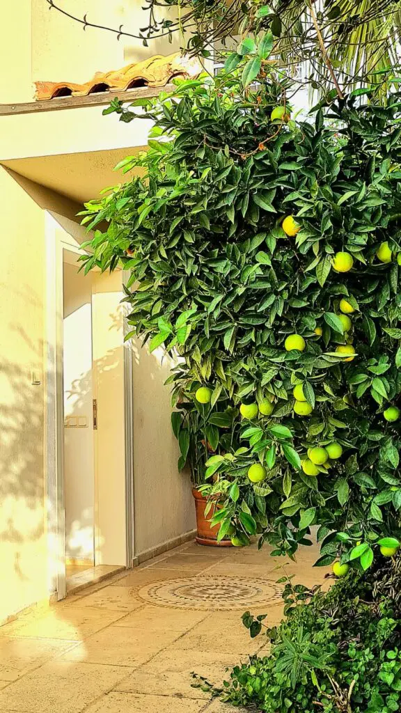 Beautifully Presented Seafront Detached Villa In Kisla